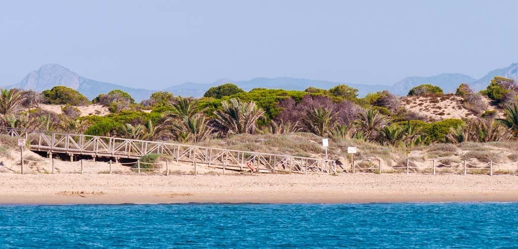 For sale - 2 Bedroom 2 Bathroom Apartment in Guardamar del Segura - Pueblo  - Alicante