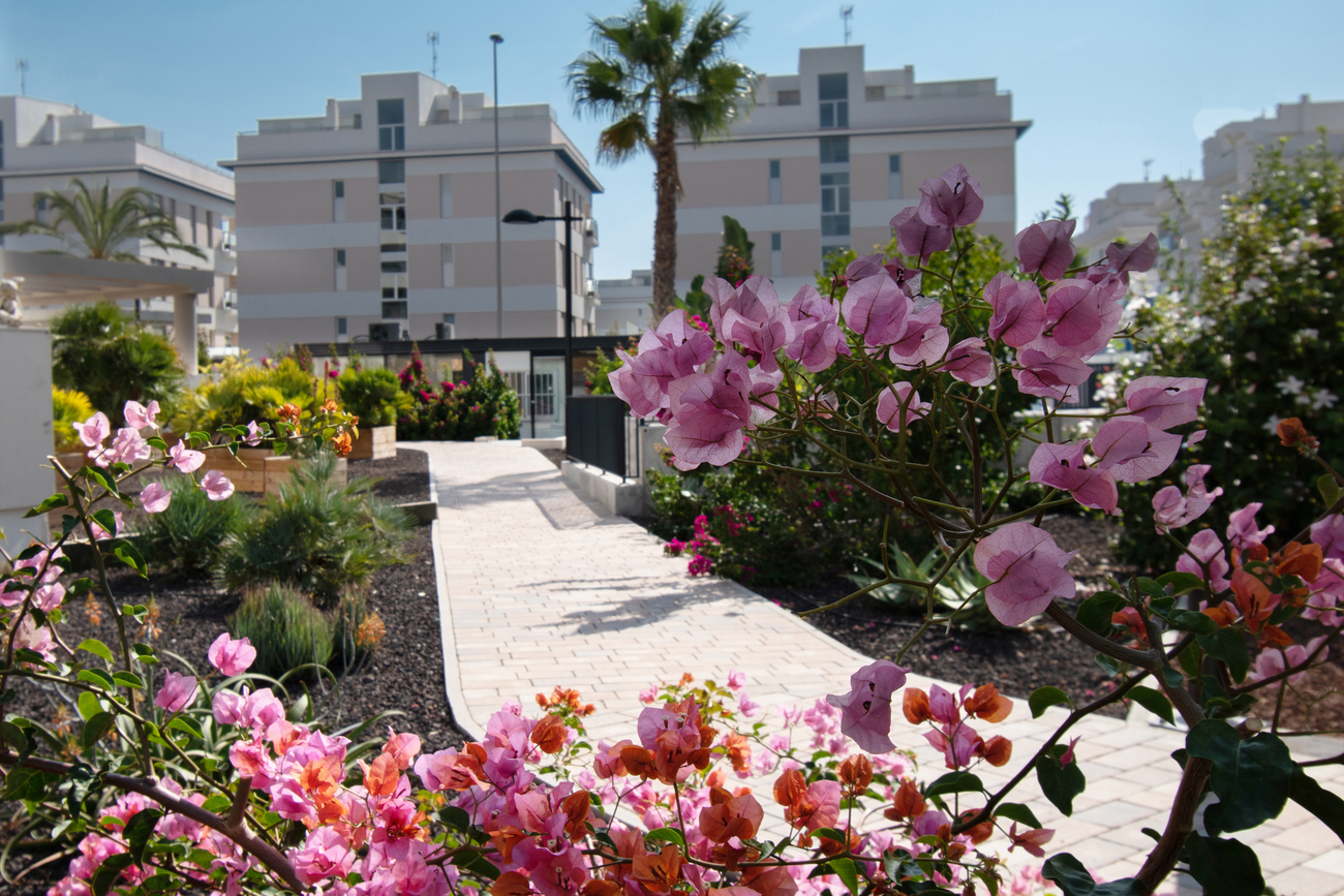 For sale - 3 Bedroom 2 Bathroom Apartment in Orihuela Costa - Los Dolses  - Alicante