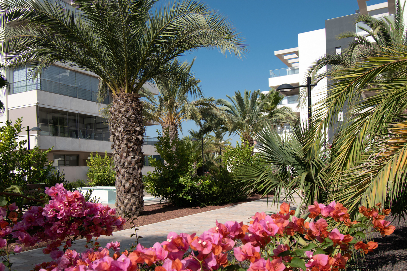 For sale - 3 Bedroom 2 Bathroom Apartment in Orihuela Costa - Los Dolses  - Alicante
