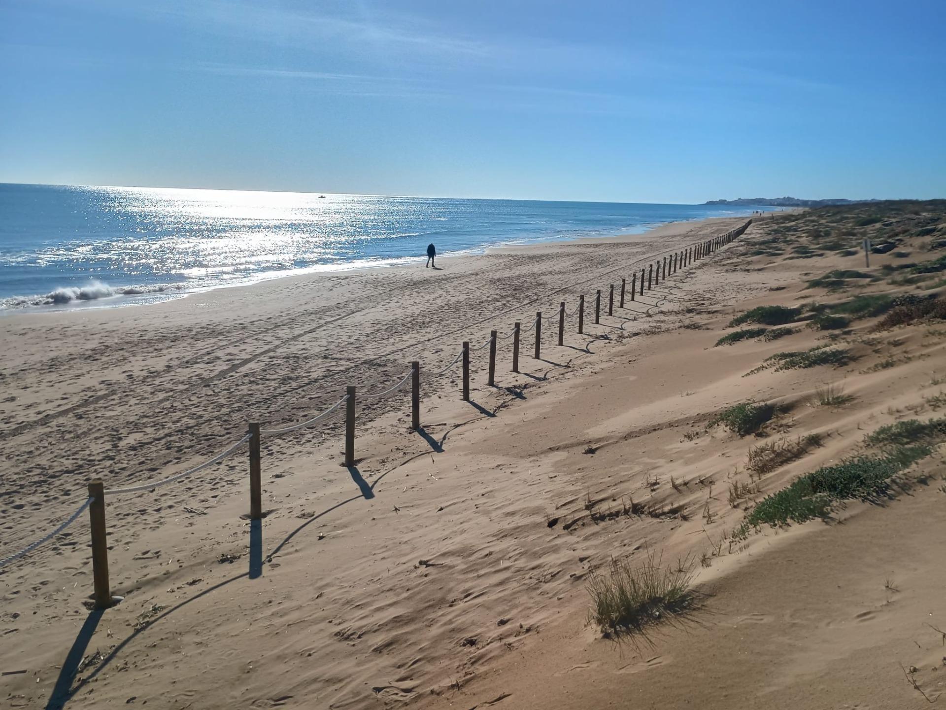 For sale - 2 Bedroom 1 Bathroom Apartment in Guardamar del Segura - Urbanizaciones  - Alicante