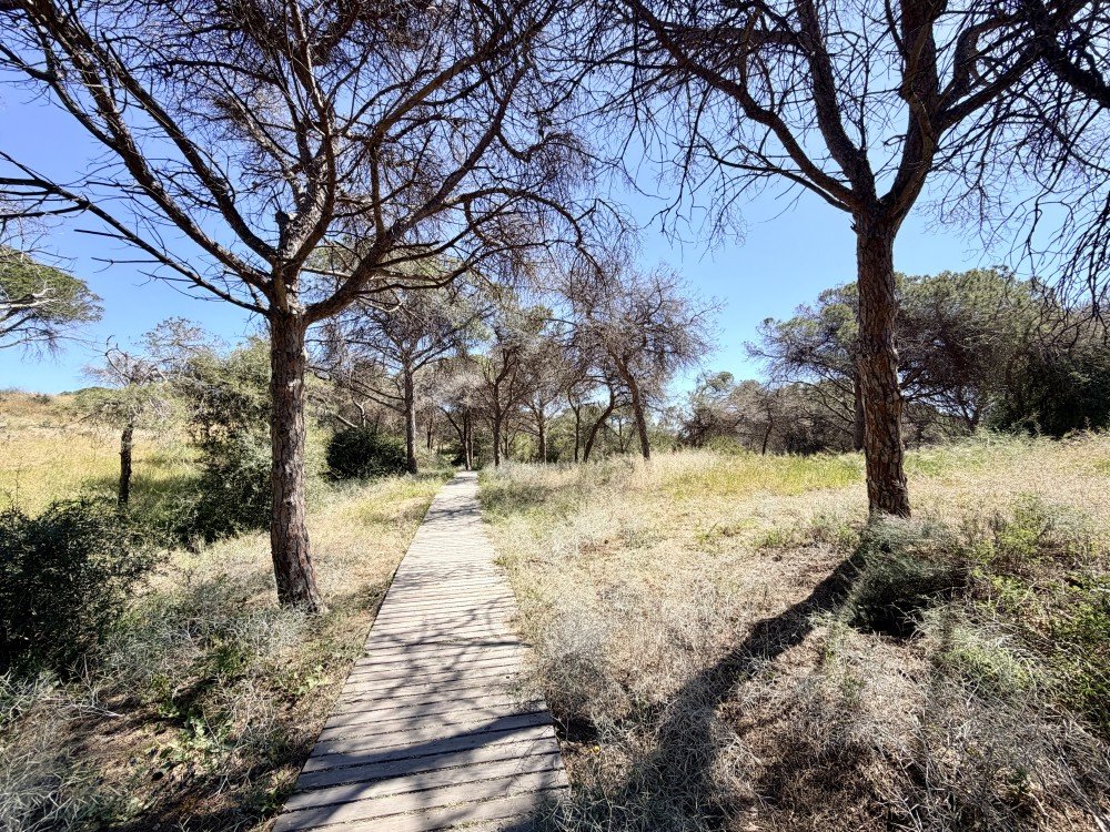 For sale - 2 Bedroom 1 Bathroom Apartment in Guardamar del Segura - Costa Blanca  - Alicante