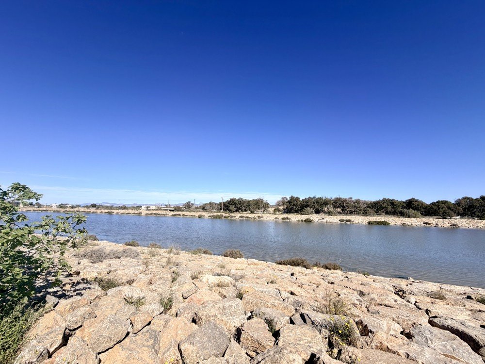 For sale - 2 Bedroom 2 Bathroom Apartment in Guardamar del Segura - Costa Blanca  - Alicante