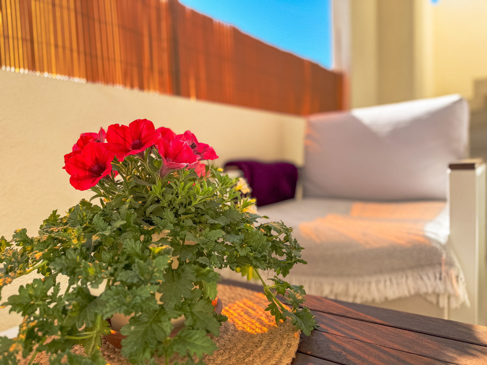 For sale - 2 Bedroom 2 Bathroom Bungalow in Los Altos - Los Altos  - Alicante