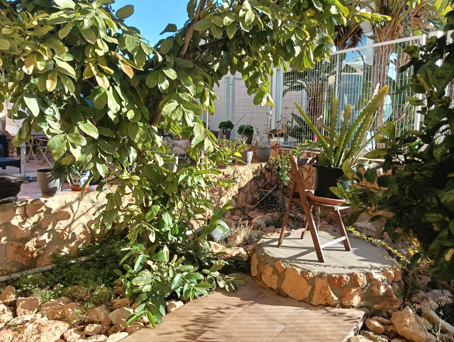 For sale - 2 Bedroom 1 Bathroom Apartment Flat in Los Montesinos - La herrada  - Alicante