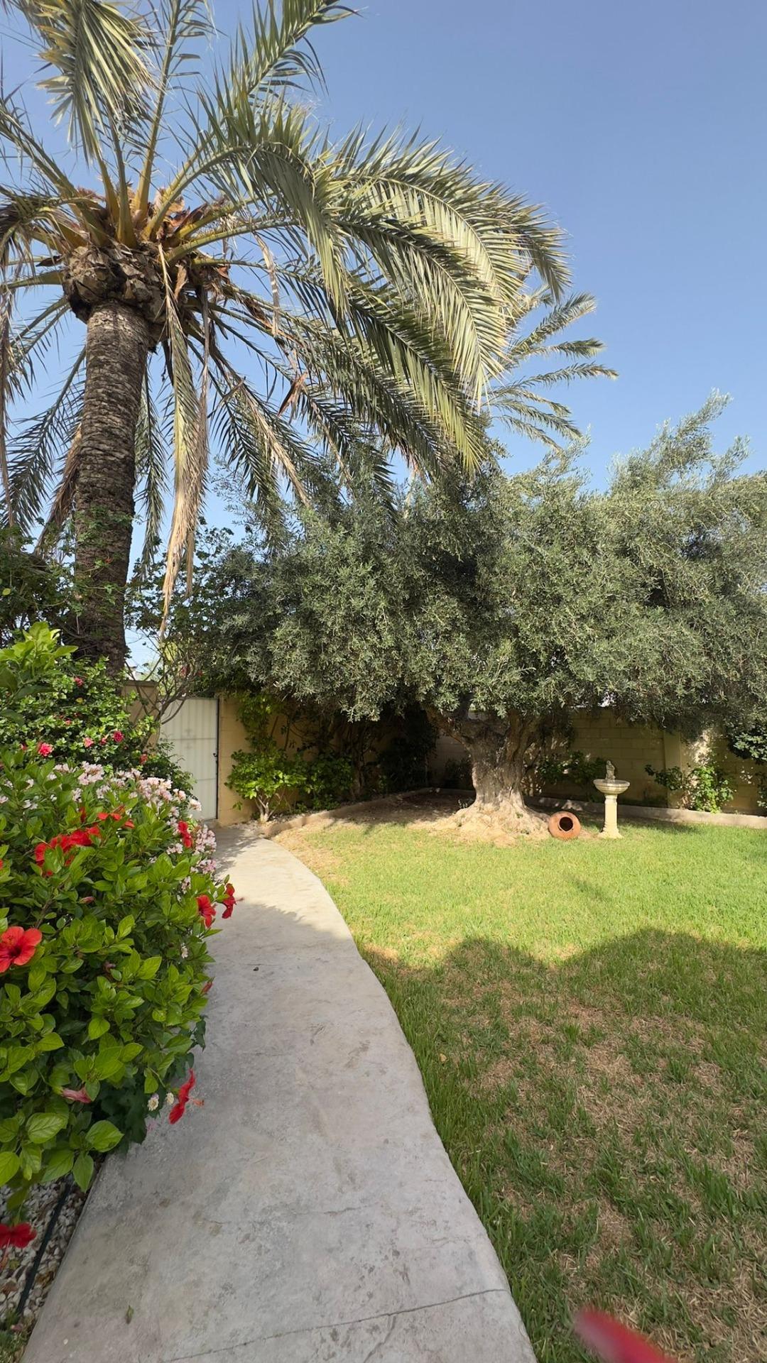 For sale - 4 Bedroom 2 Bathroom Villa in Orihuela Costa - Punta Prima  - Alicante