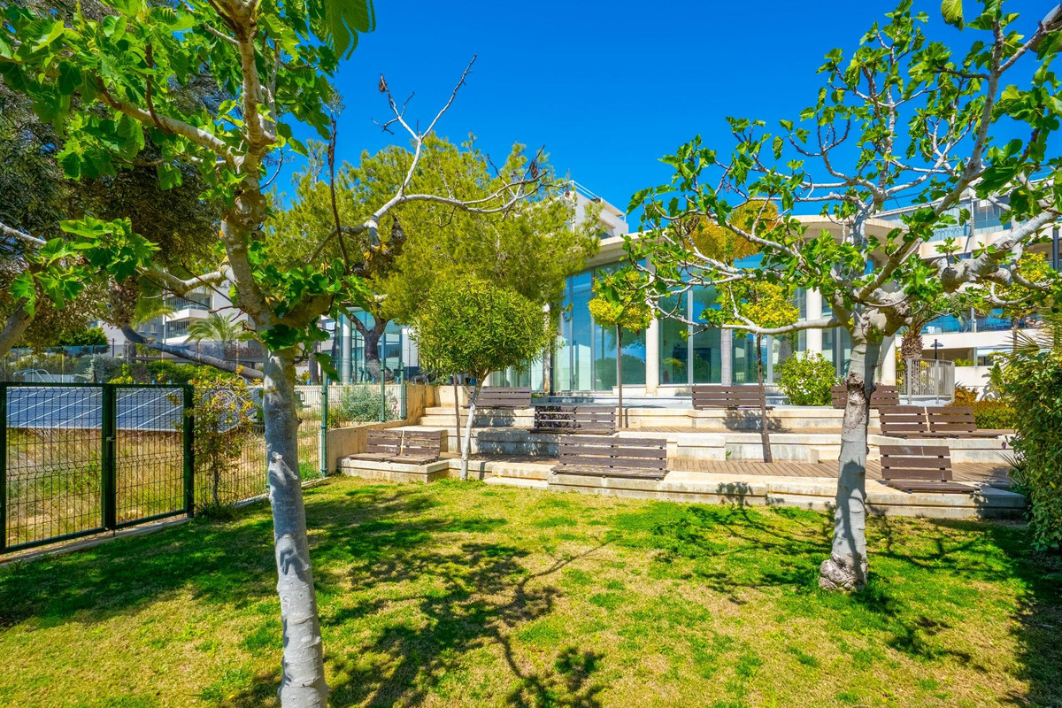 For sale - 3 Bedroom 2 Bathroom Apartment - Ground Floor Apartment in Orihuela - Los Dolses  - Alicante