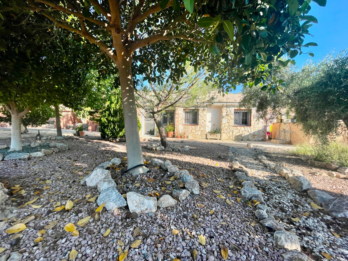 For sale - 5 Bedroom 4 Bathroom Finca in Crevillente  - Crevillente - Crevillent Centro  - Alicante