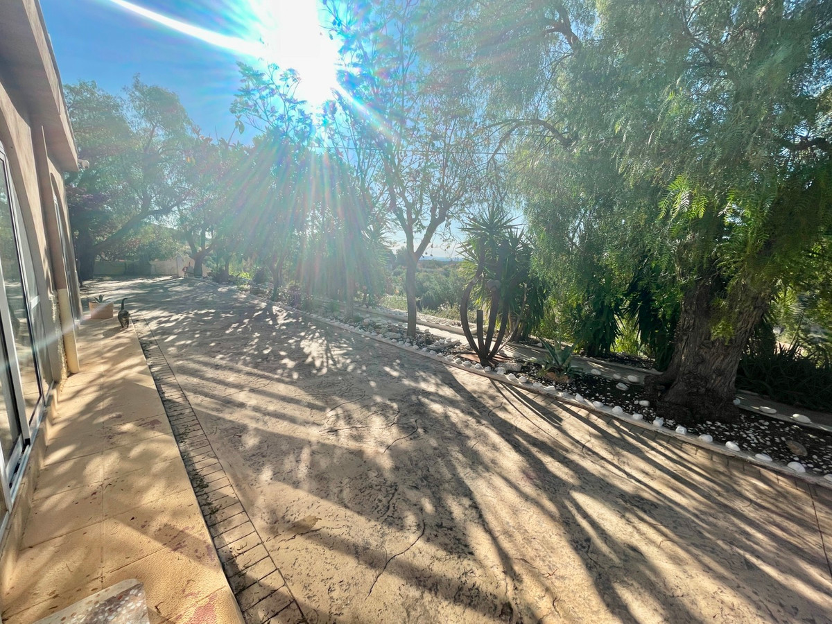 For sale - 5 Bedroom 4 Bathroom Finca in Crevillente  - Crevillente - Crevillent Centro  - Alicante