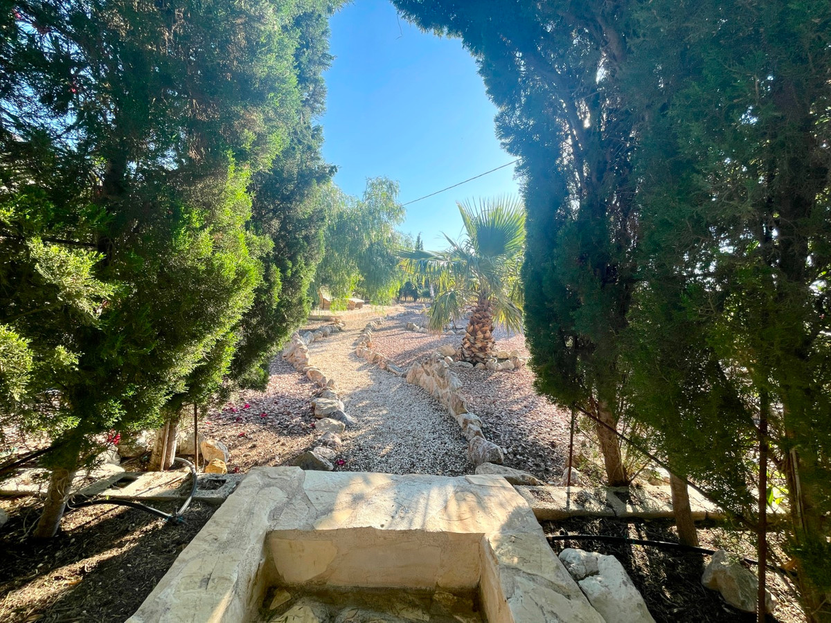 For sale - 5 Bedroom 4 Bathroom Finca in Crevillente  - Crevillente - Crevillent Centro  - Alicante