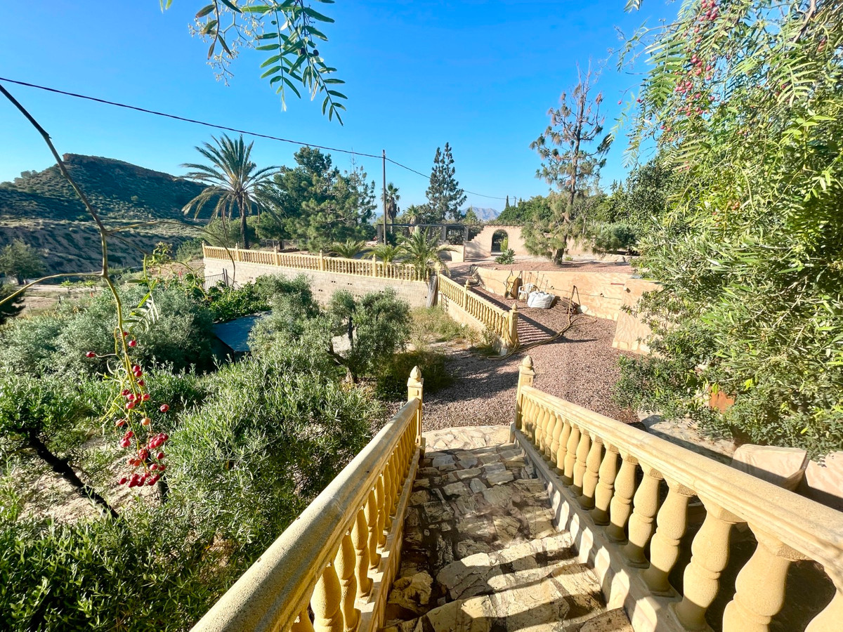 For sale - 5 Bedroom 4 Bathroom Finca in Crevillente  - Crevillente - Crevillent Centro  - Alicante