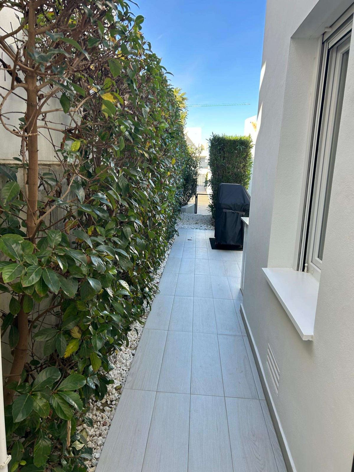 For sale - 3 Bedroom 2 Bathroom House - Detached Villa in Algorfa - Algorfa Centro  - Alicante
