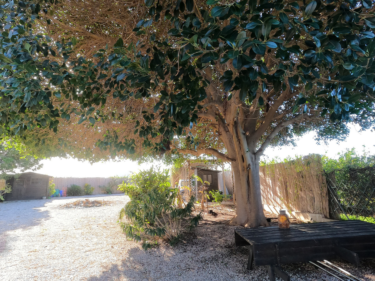 For sale - 3 Bedroom 2 Bathroom House - Finca - Cortijo in Orihuela - Orihuela Centro  - Alicante
