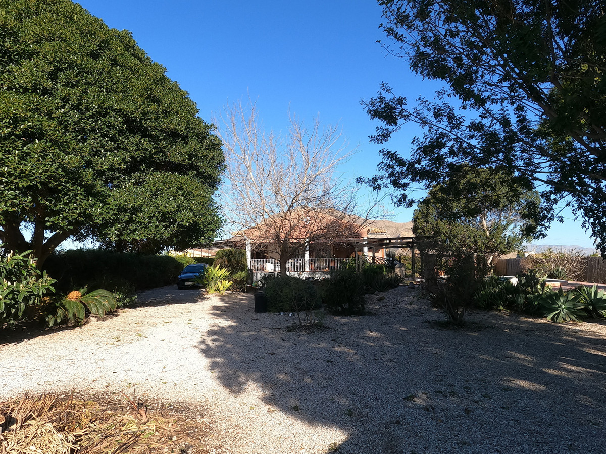 For sale - 3 Bedroom 2 Bathroom House - Finca - Cortijo in Orihuela - Orihuela Centro  - Alicante