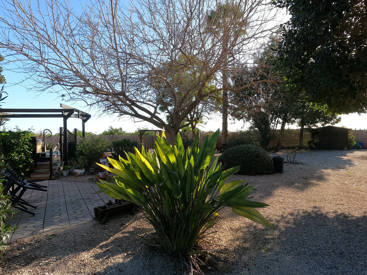 For sale - 3 Bedroom 2 Bathroom House - Finca - Cortijo in Orihuela - Orihuela Centro  - Alicante