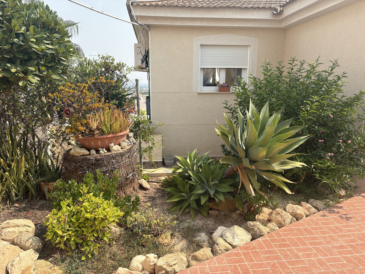 For sale - 3 Bedroom 2 Bathroom House - Detached Villa in Algorfa - Algorfa Centro  - Alicante