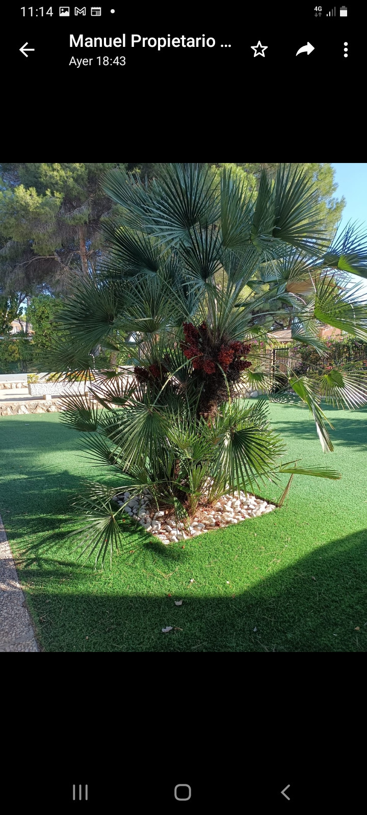 For sale - 6 Bedroom 4 Bathroom House - Detached Villa in Orihuela - Campoamor  - Alicante