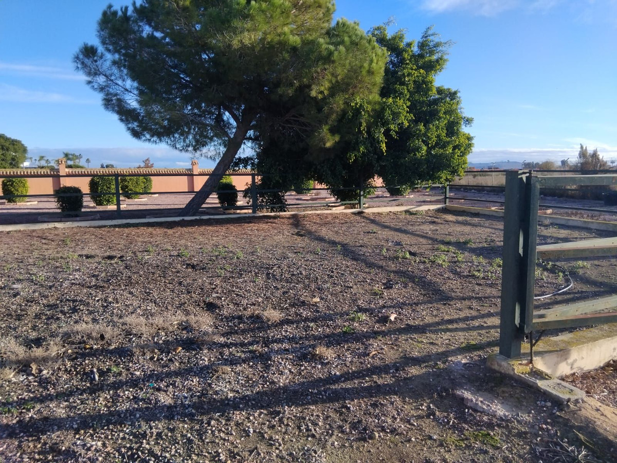 For sale - 5 Bedroom 4 Bathroom House - Detached Villa in Dolores - Dolores Centro  - Alicante