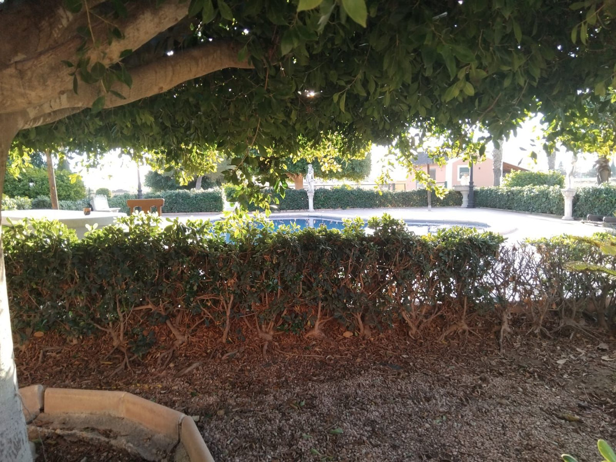 For sale - 5 Bedroom 4 Bathroom House - Detached Villa in Dolores - Dolores Centro  - Alicante