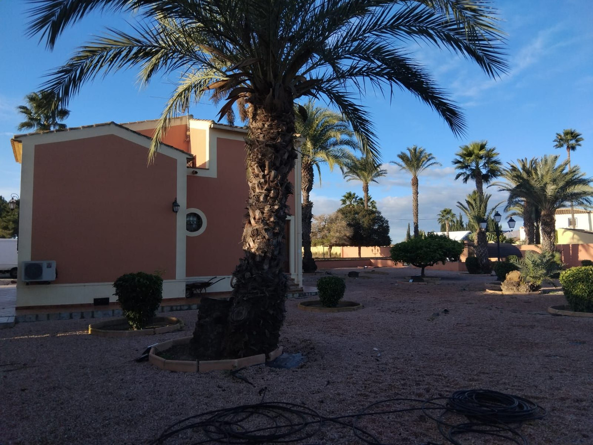 For sale - 5 Bedroom 4 Bathroom House - Detached Villa in Dolores - Dolores Centro  - Alicante