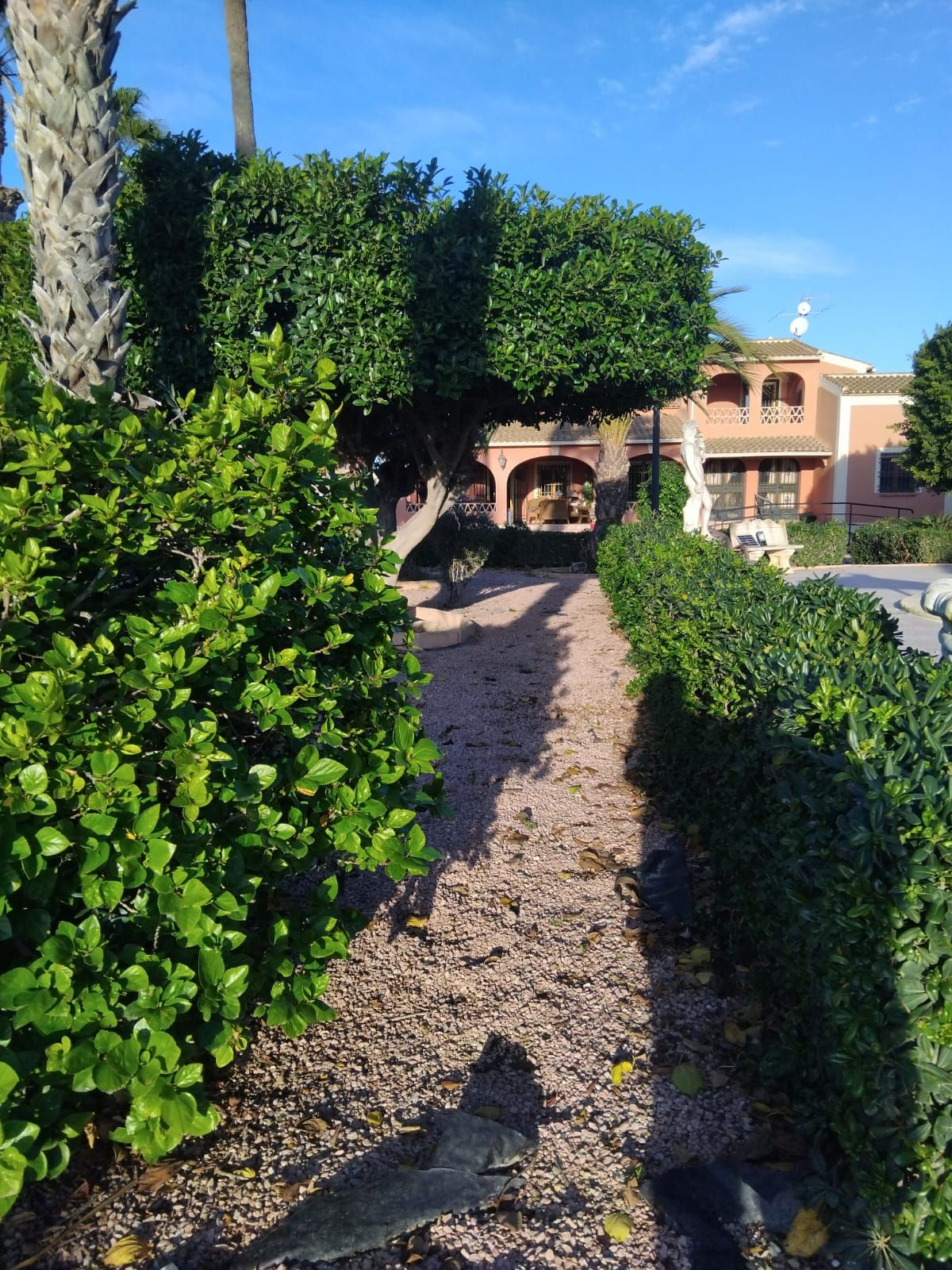 For sale - 5 Bedroom 4 Bathroom House - Detached Villa in Dolores - Dolores Centro  - Alicante