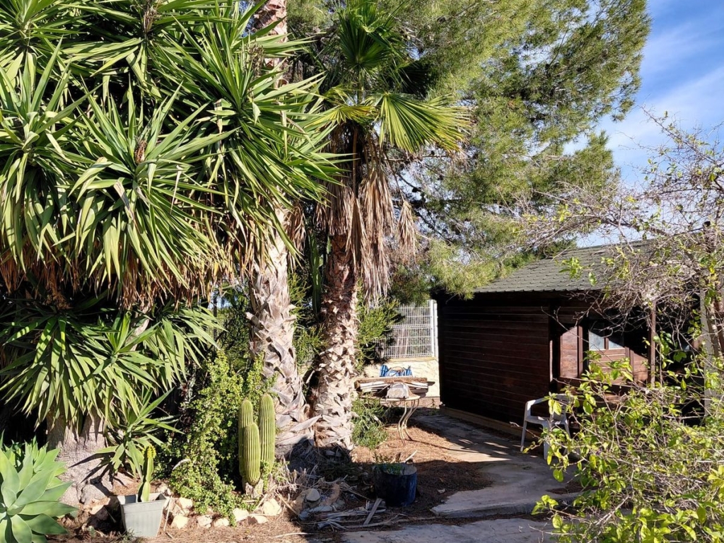 3 Bedroom 3 Bathroom House - Finca - Cortijo in Orihuela