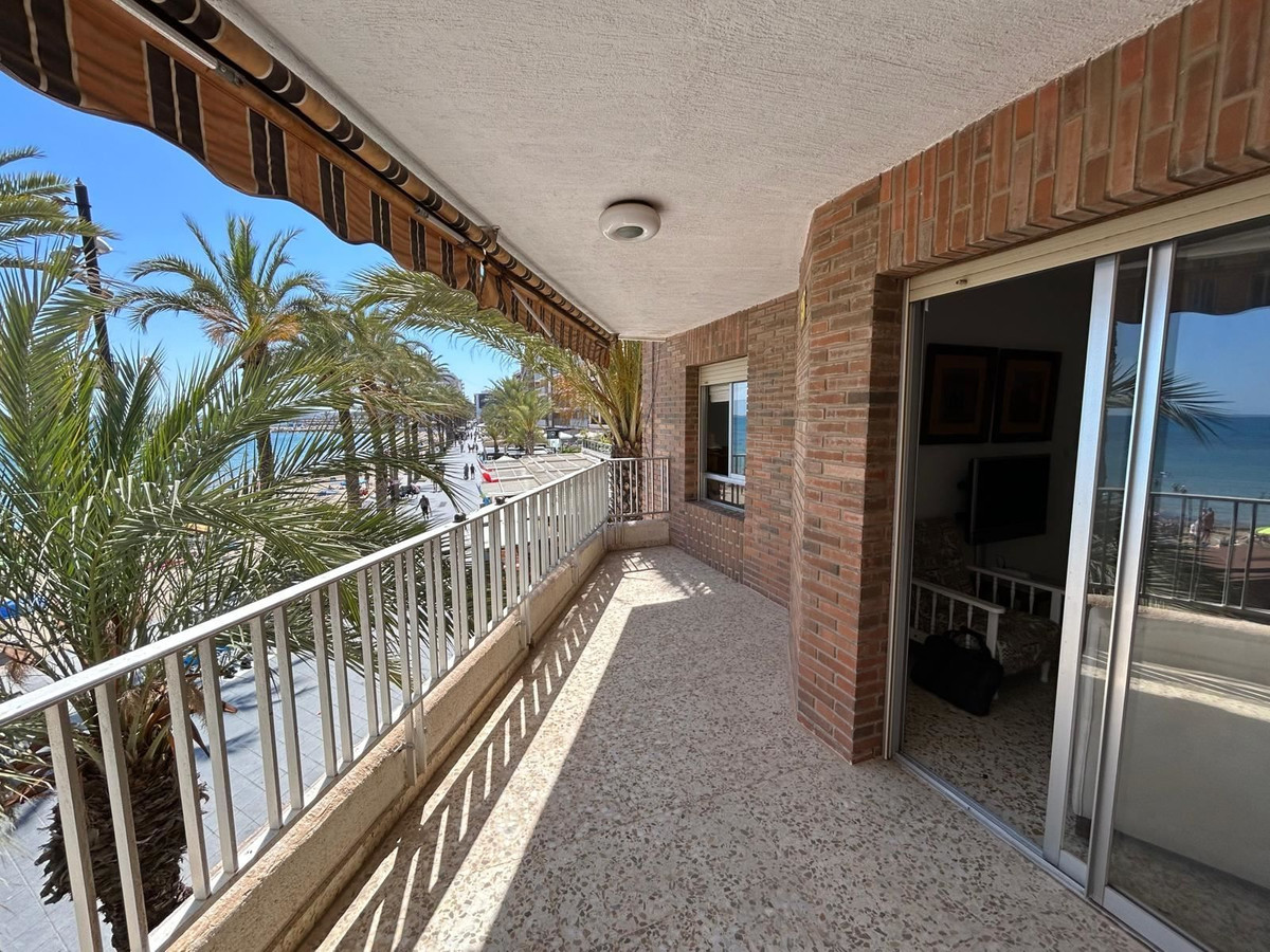 For sale - 3 Bedroom 2 Bathroom Apartment - Ground Floor Apartment in Torrevieja - Torrevieja Centro  - Alicante