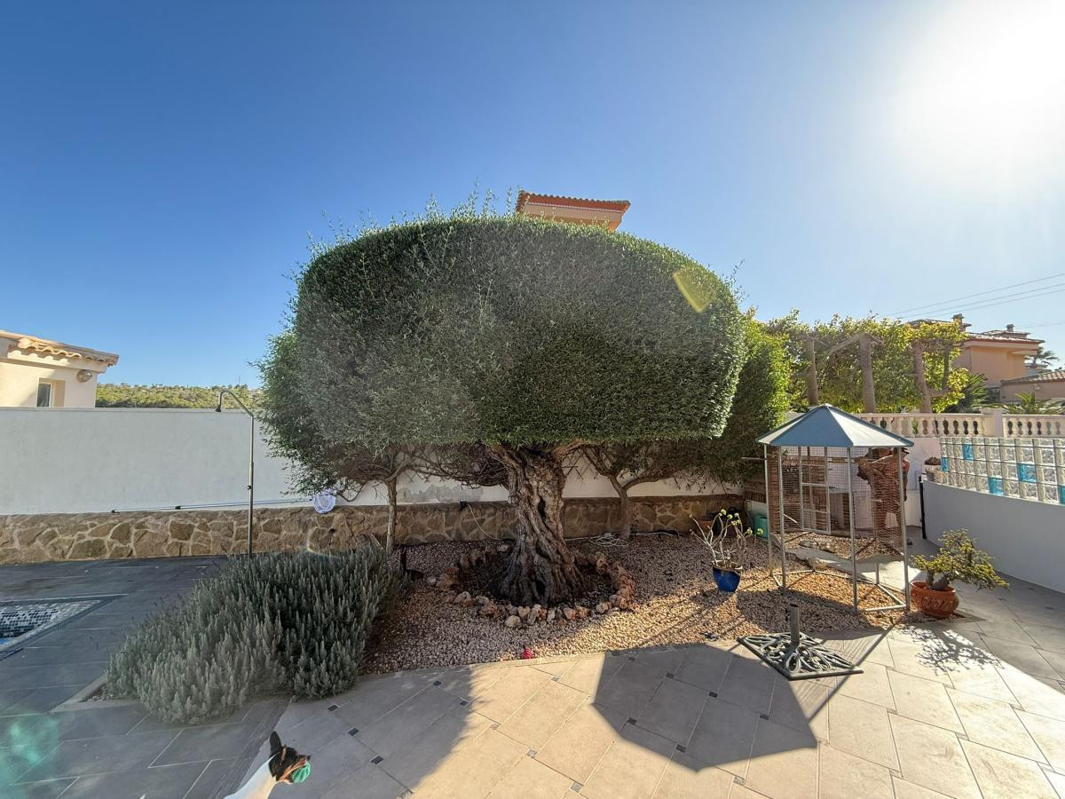 For sale - 3 Bedroom 2 Bathroom House - Detached Villa in San Miguel de Salinas - San Miguel de Salinas Centro  - Alicante