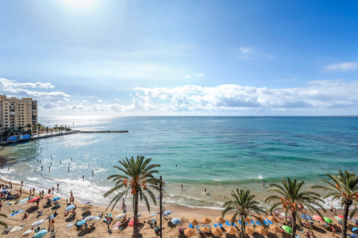 For sale - 3 Bedroom 2 Bathroom Apartment - Ground Floor Apartment in Torrevieja - Torrevieja Centro  - Alicante