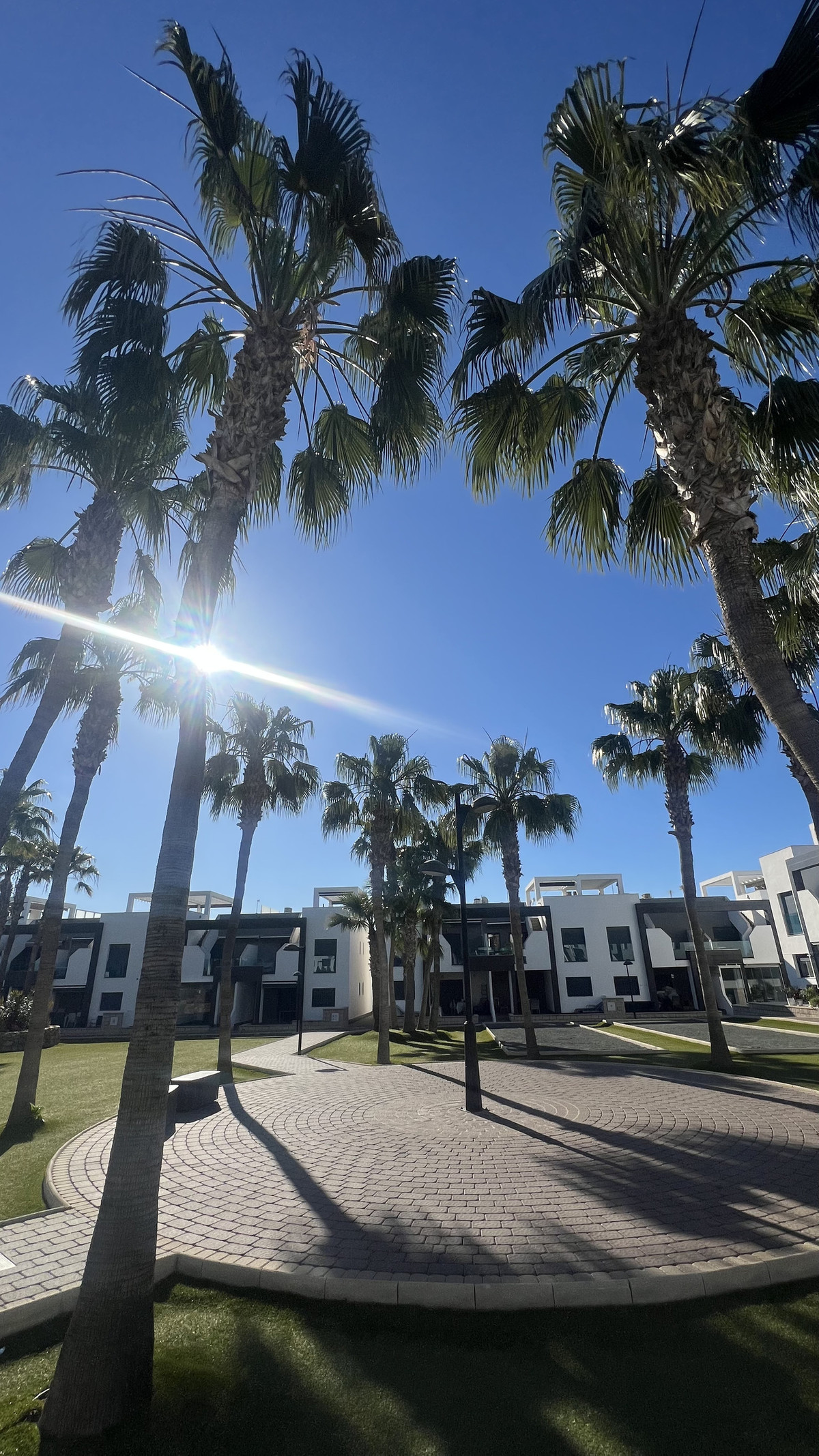 For sale - 2 Bedroom 2 Bathroom Apartment - Ground Floor Apartment in Orihuela - La Zenia  - Alicante