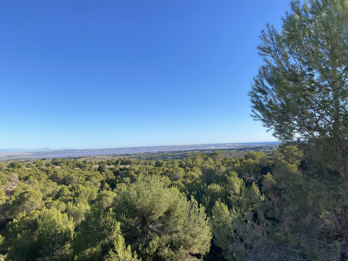 For sale - 5 Bedroom 4 Bathroom House - Detached Villa in Orihuela - Dehesa de Campoamor  - Alicante