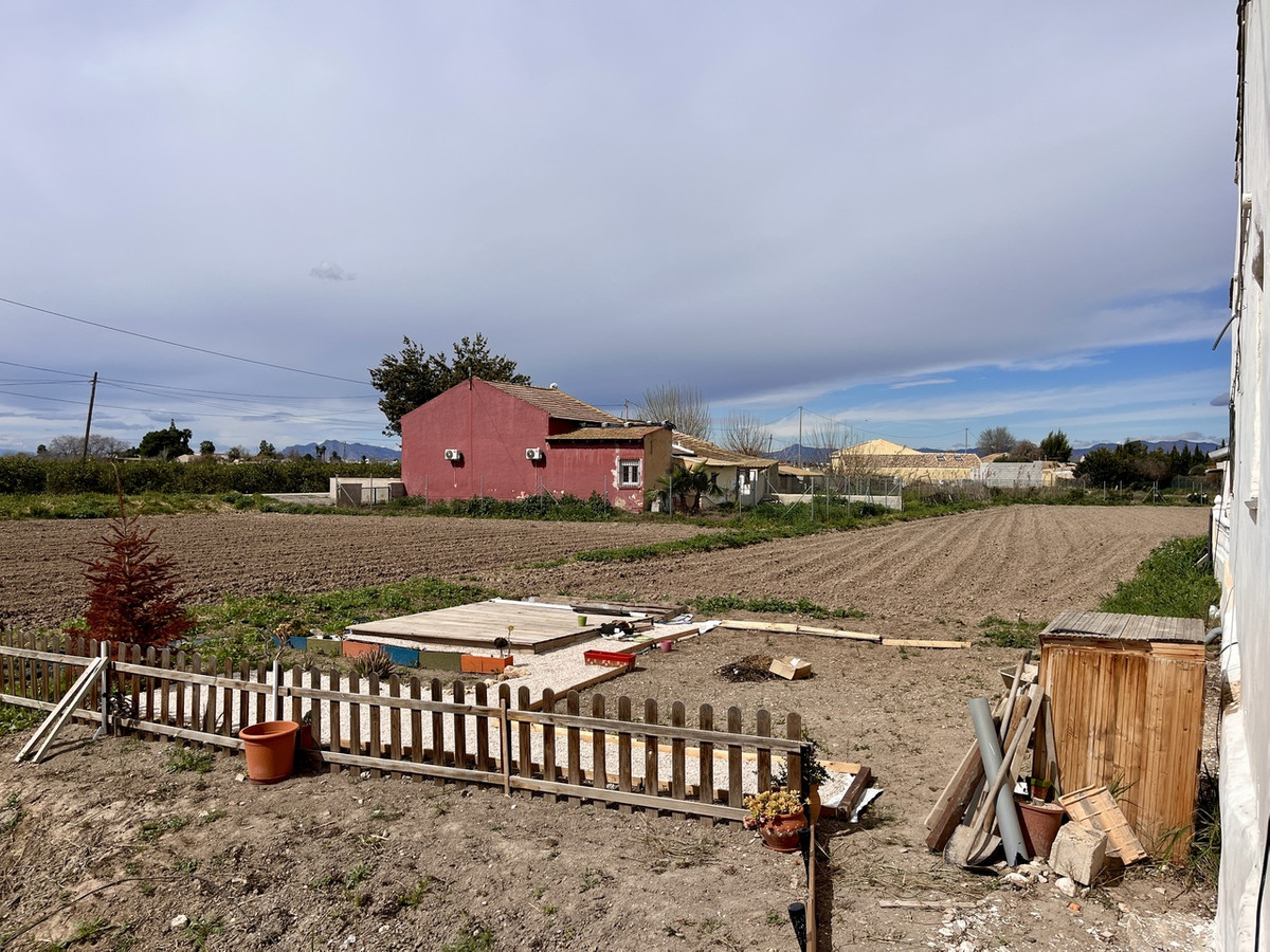 For sale - 3 Bedroom 2 Bathroom House - Finca - Cortijo in Dolores - Dolores Centro  - Alicante