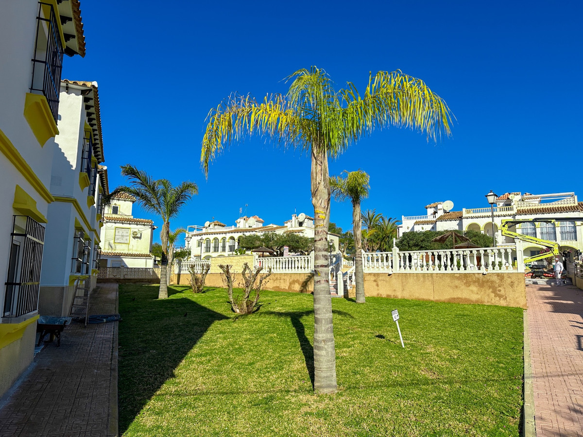For sale - 1 Bedroom 1 Bathroom Ground Floor Apartment in Villamartin  - Villamartin  - Alicante
