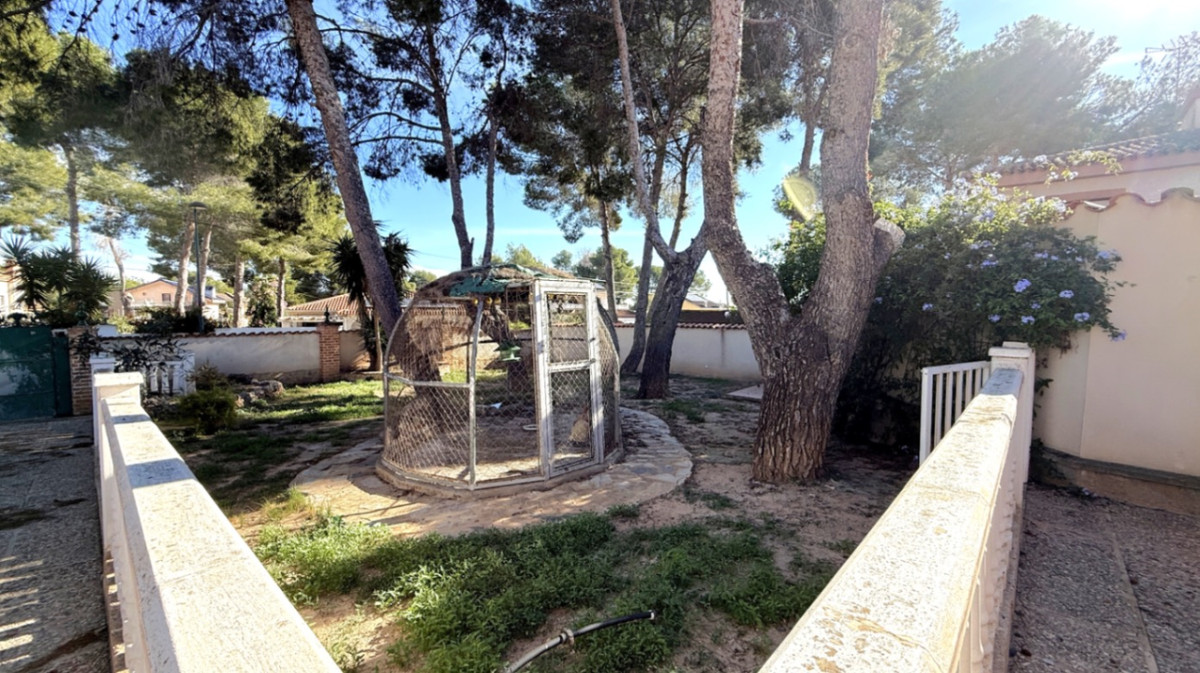 For sale - 4 Bedroom 3 Bathroom House - Detached Villa in Pilar de la Horadada - Pilar de la Horadada Centro  - Alicante