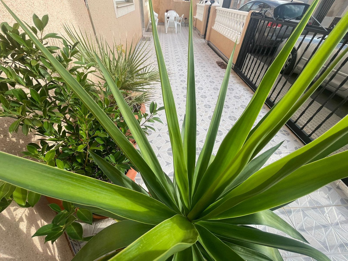 For sale - 4 Bedroom 2 Bathroom House - Semi-Detached House in San Pedro del Pinatar - Lo Pagan  - Murcia