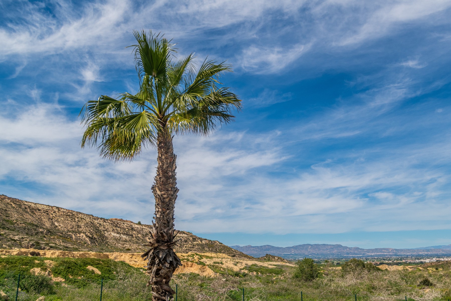 For sale - 3 Bedroom 2 Bathroom Apartment in Algorfa - Inland  - Alicante