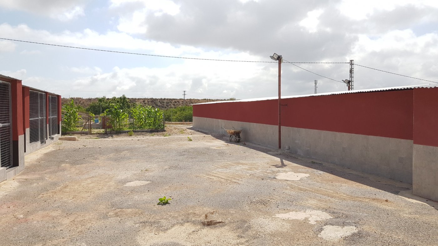 For sale - 2 Bedroom 2 Bathroom Finca in Los Montesinos - Los Montesinos  - Alicante