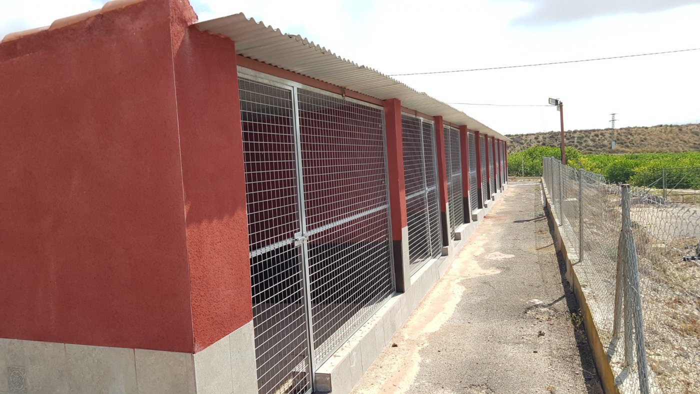 For sale - 2 Bedroom 2 Bathroom Finca in Los Montesinos - Los Montesinos  - Alicante