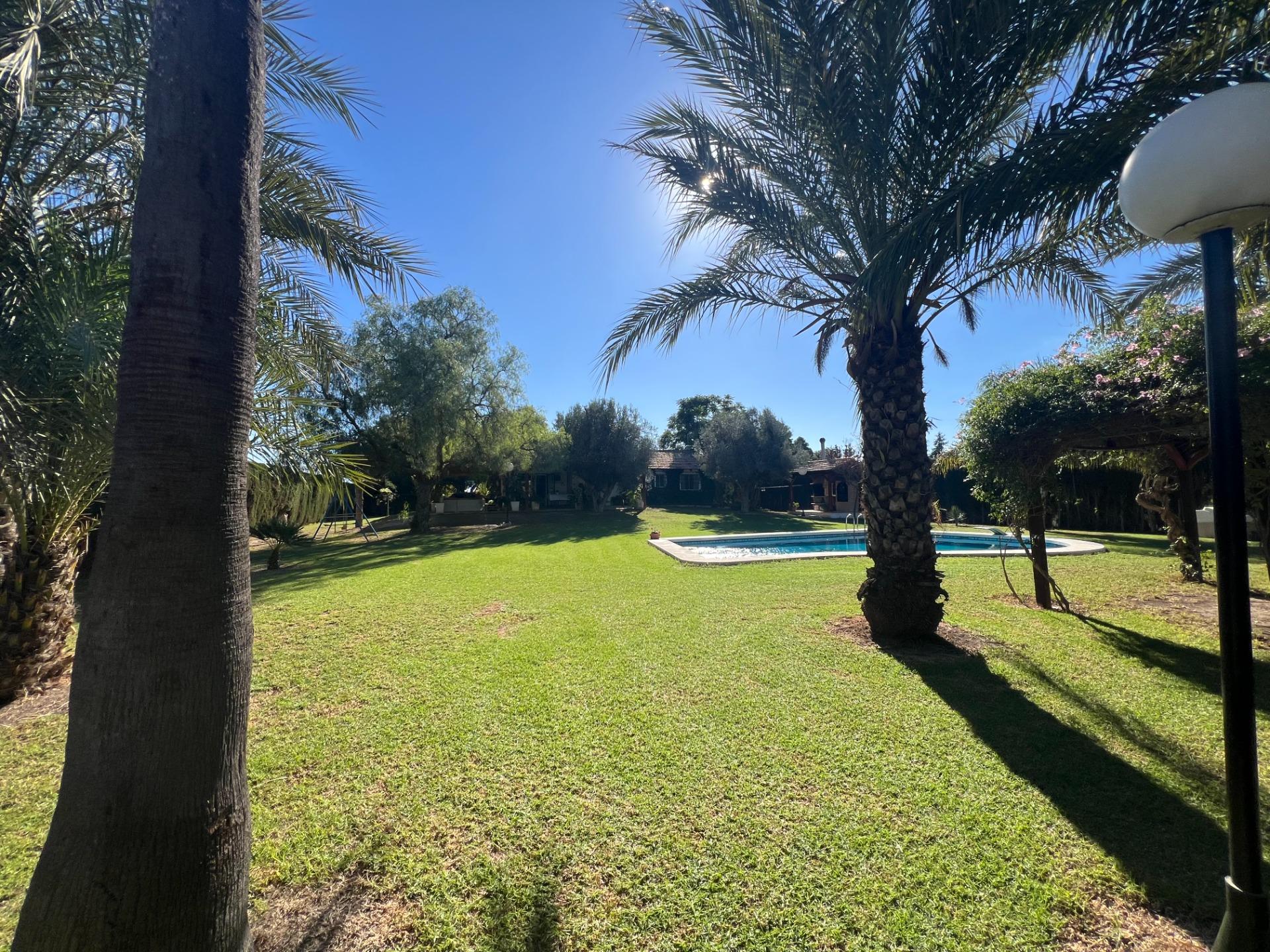 For sale - 4 Bedroom 3 Bathroom Finca in Dolores - Comunidad Valenciana  - Alicante