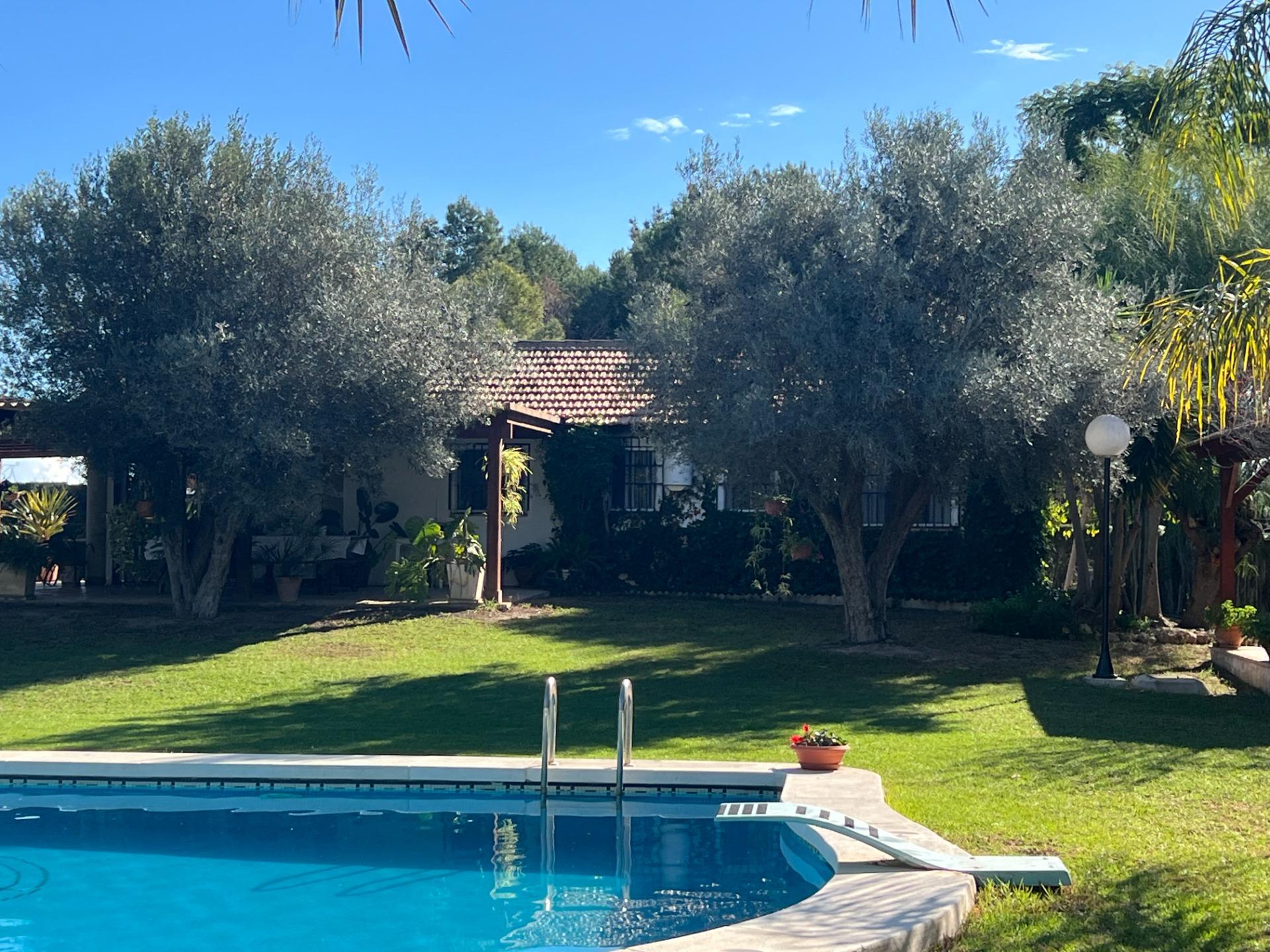 For sale - 4 Bedroom 3 Bathroom Finca in Dolores - Comunidad Valenciana  - Alicante