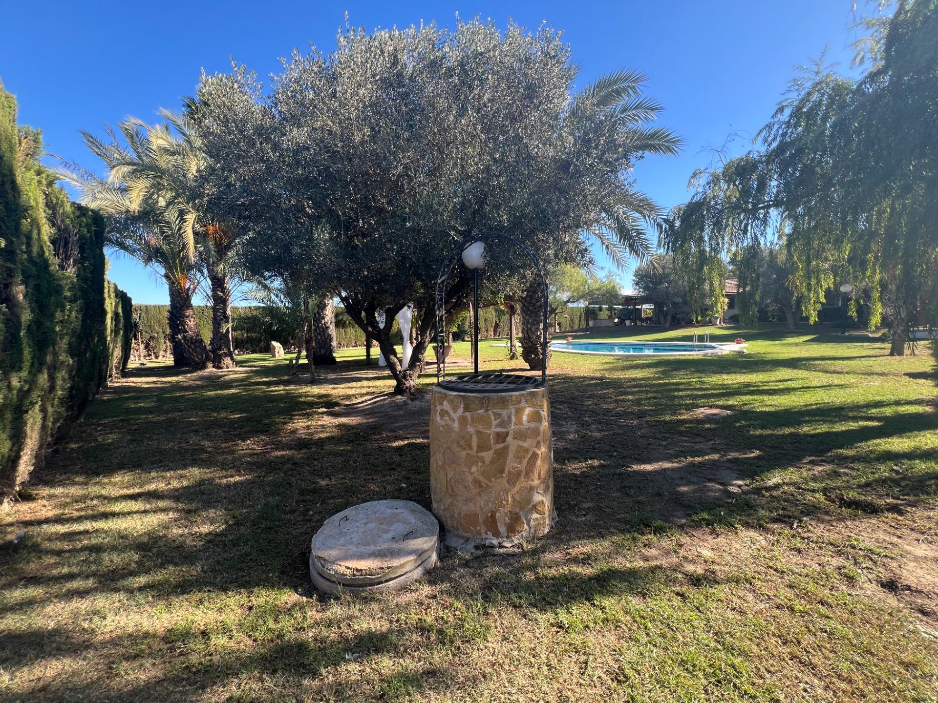 For sale - 4 Bedroom 3 Bathroom Finca in Dolores - Comunidad Valenciana  - Alicante