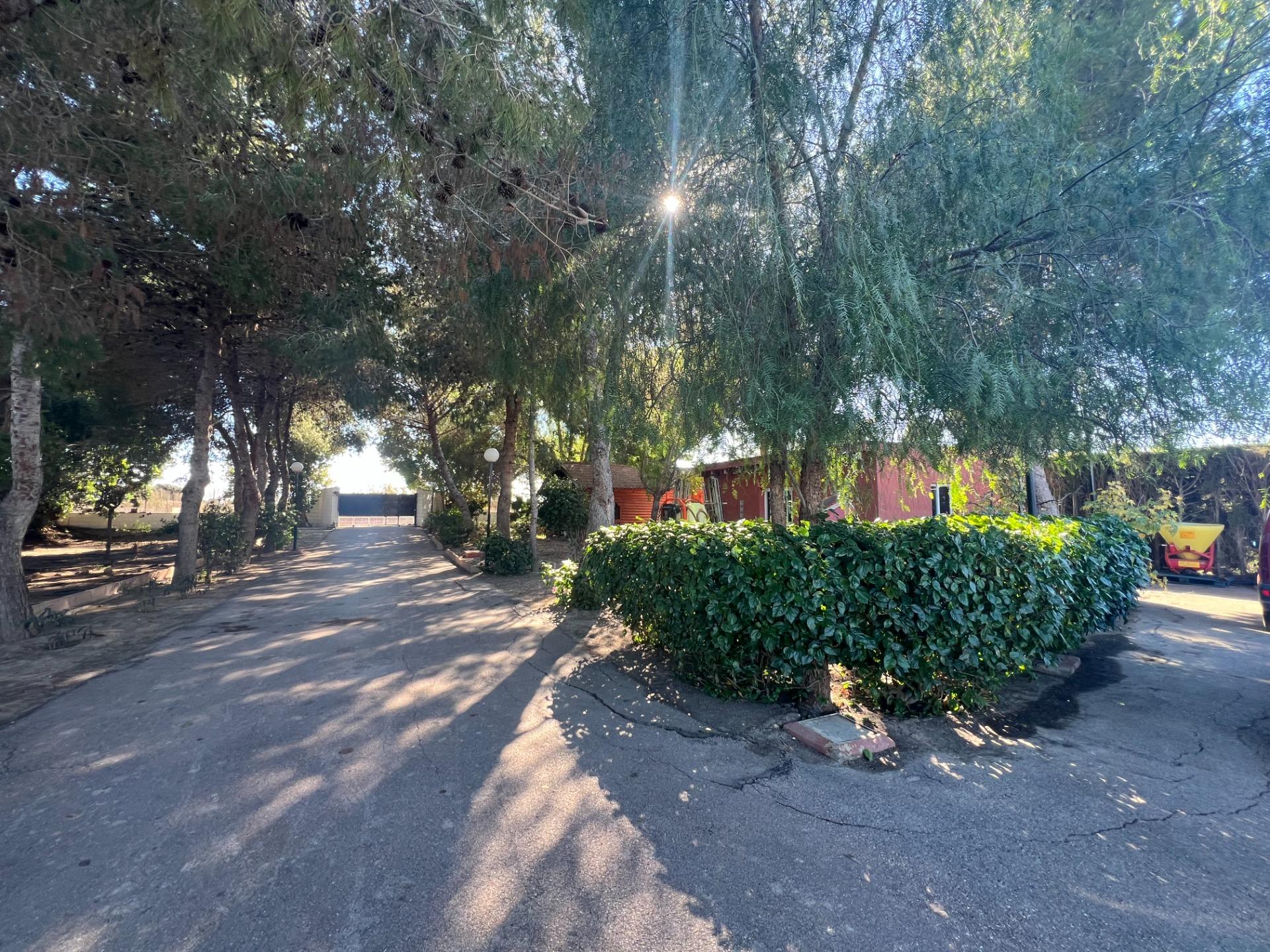 For sale - 4 Bedroom 3 Bathroom Finca in Dolores - Comunidad Valenciana  - Alicante