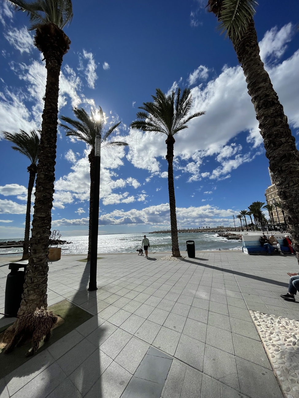 For sale - 3 Bedroom 2 Bathroom Penthouse in Torrevieja - Playa de cura  - Alicante