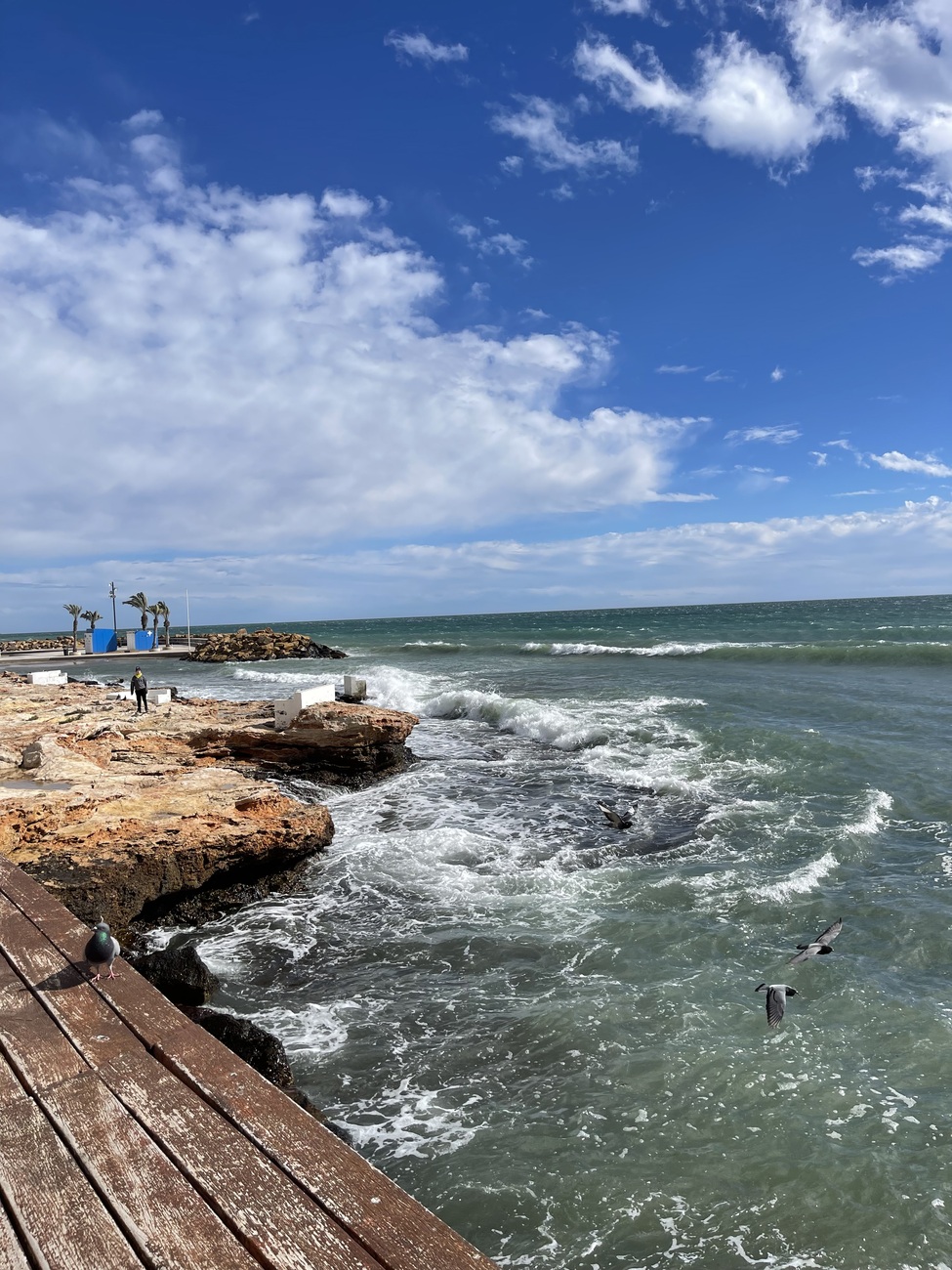 For sale - 3 Bedroom 2 Bathroom Penthouse in Torrevieja - Playa de cura  - Alicante