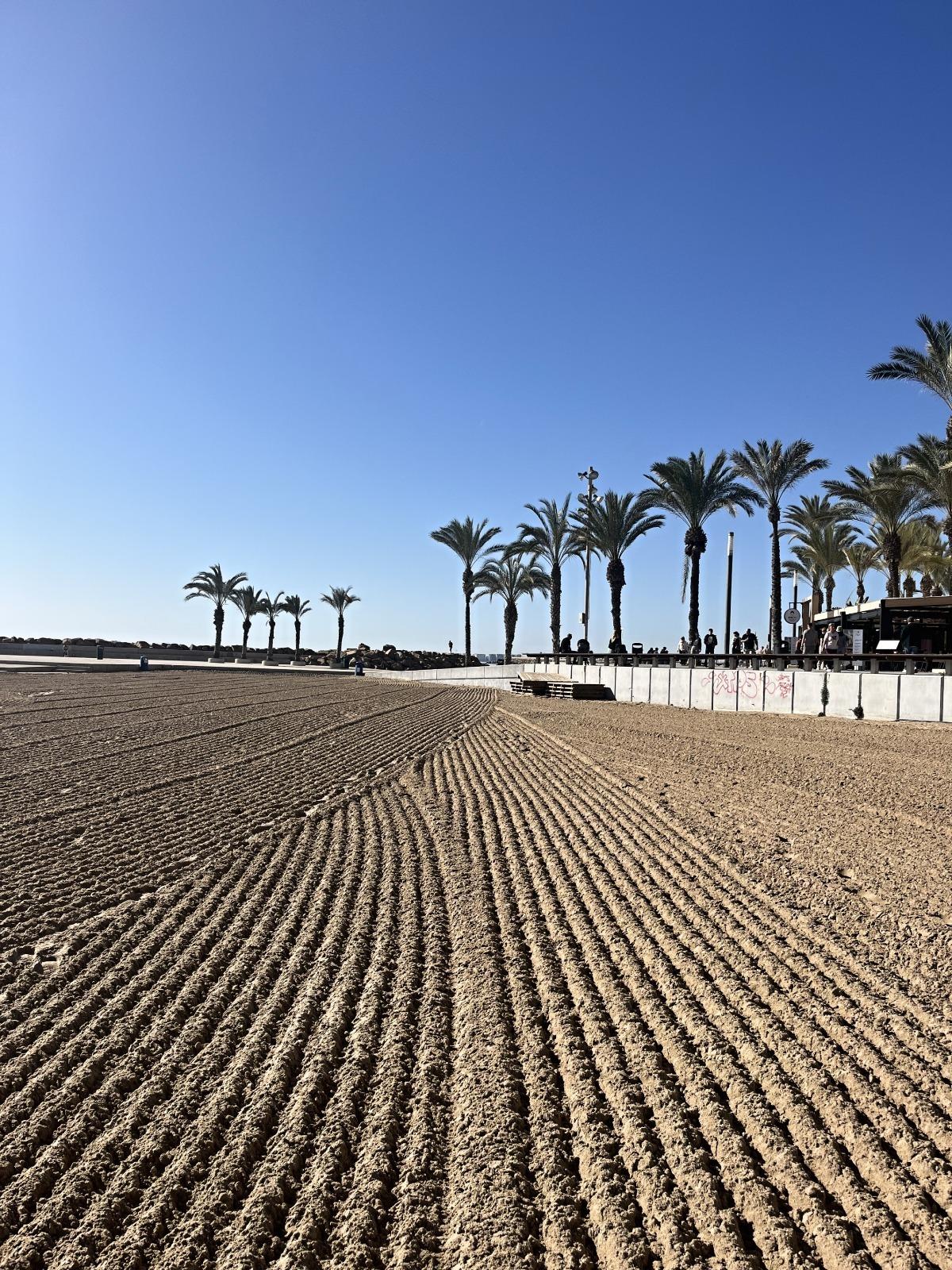 For sale - 3 Bedroom 2 Bathroom Apartment in Torrevieja - Estacion De Autobuses  - Alicante
