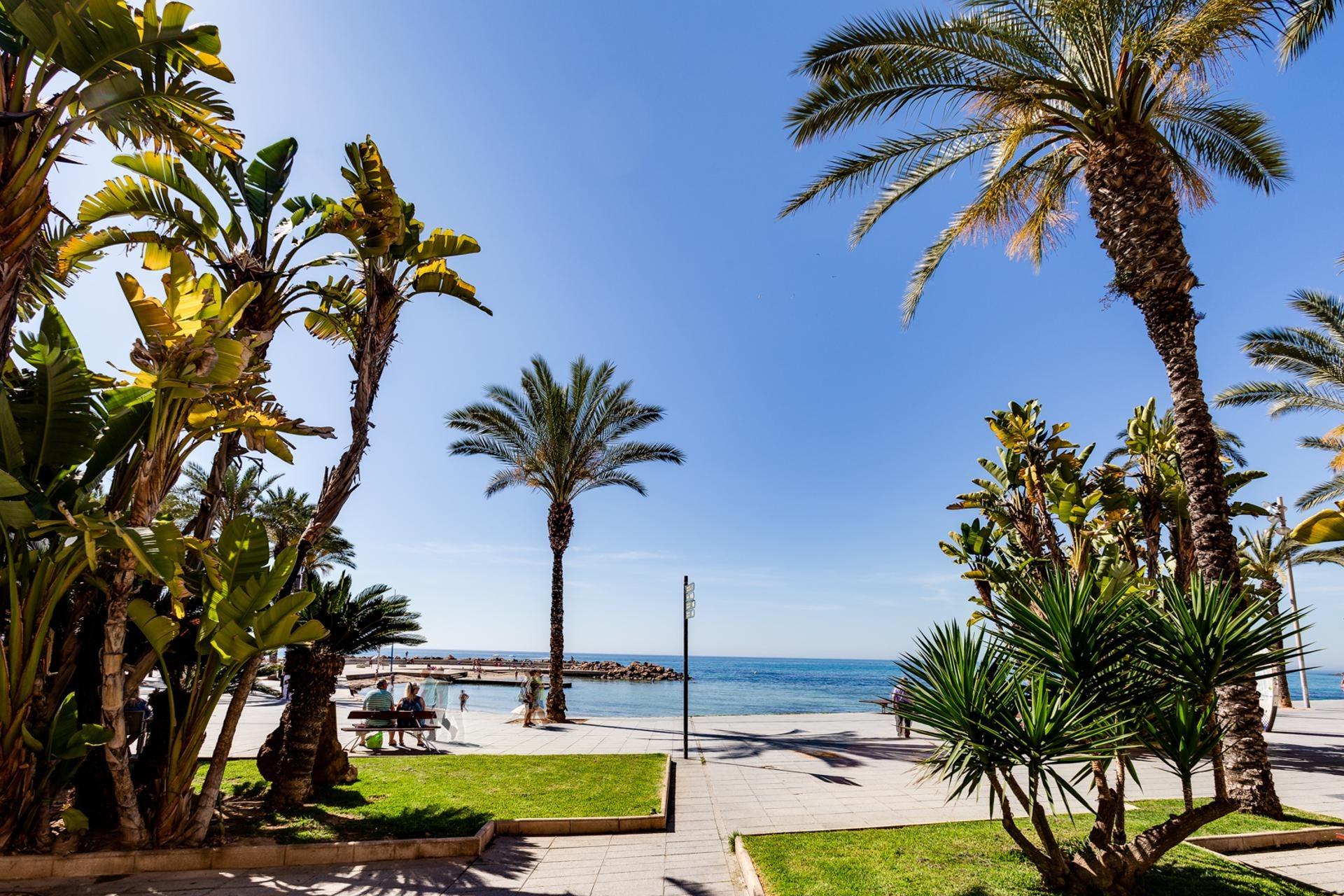 For sale - 3 Bedroom 2 Bathroom Apartment in Torrevieja - Playa Del Cura  - Alicante