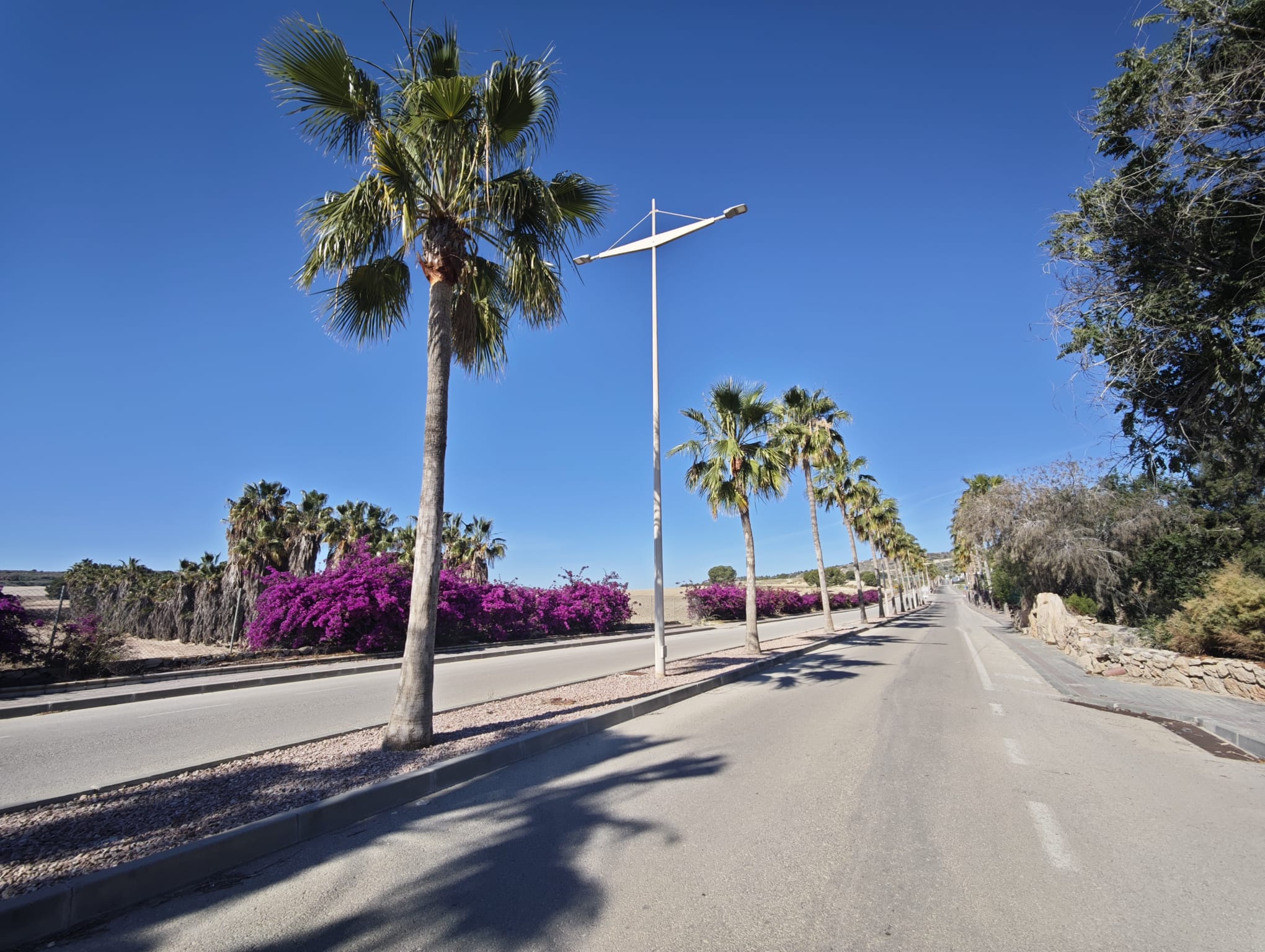 For sale - 4 Bedroom 3 Bathroom Villa in Algorfa - La Finca Golf  - Alicante