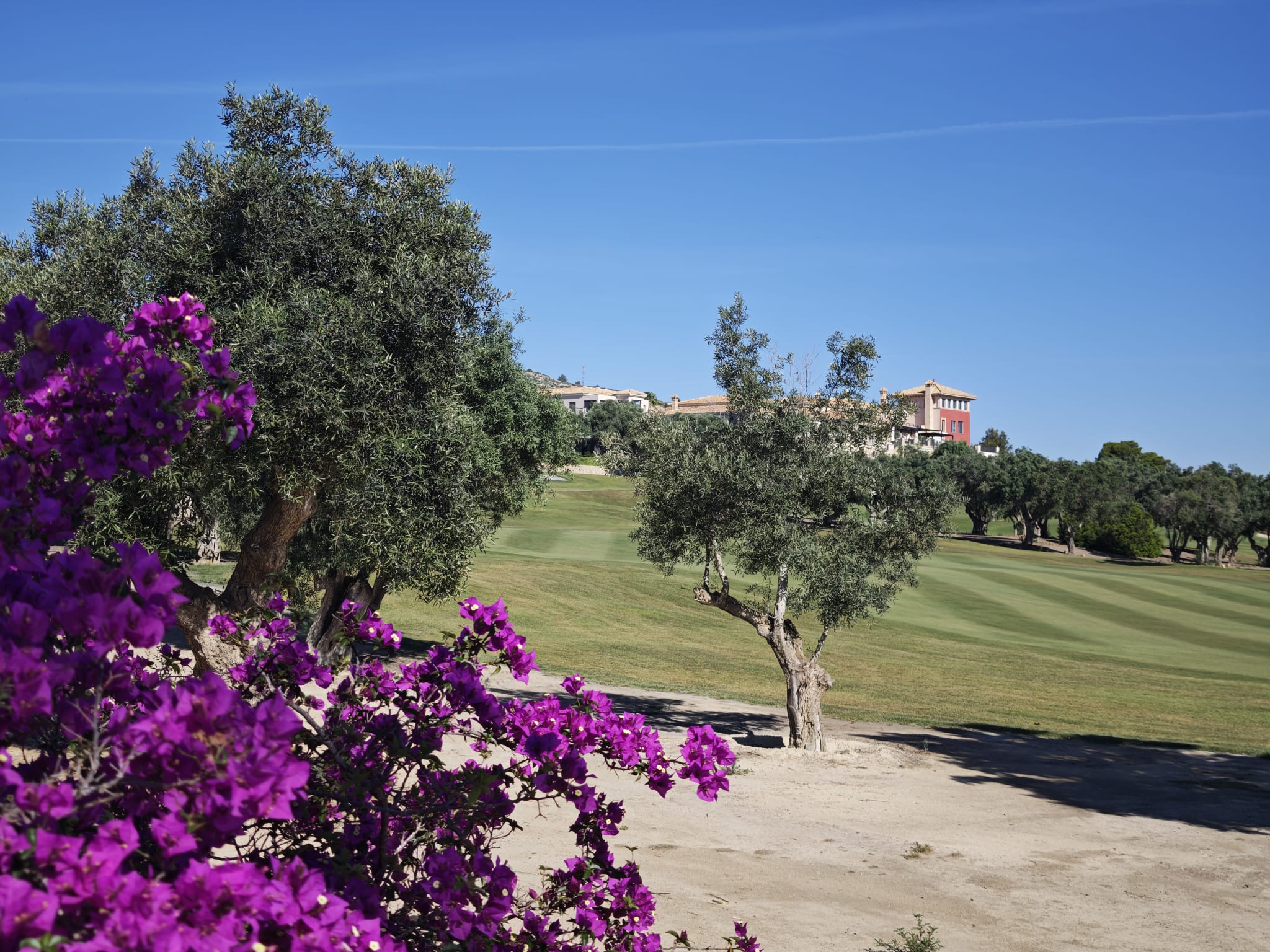 For sale - 4 Bedroom 3 Bathroom Villa in Algorfa - La Finca Golf  - Alicante