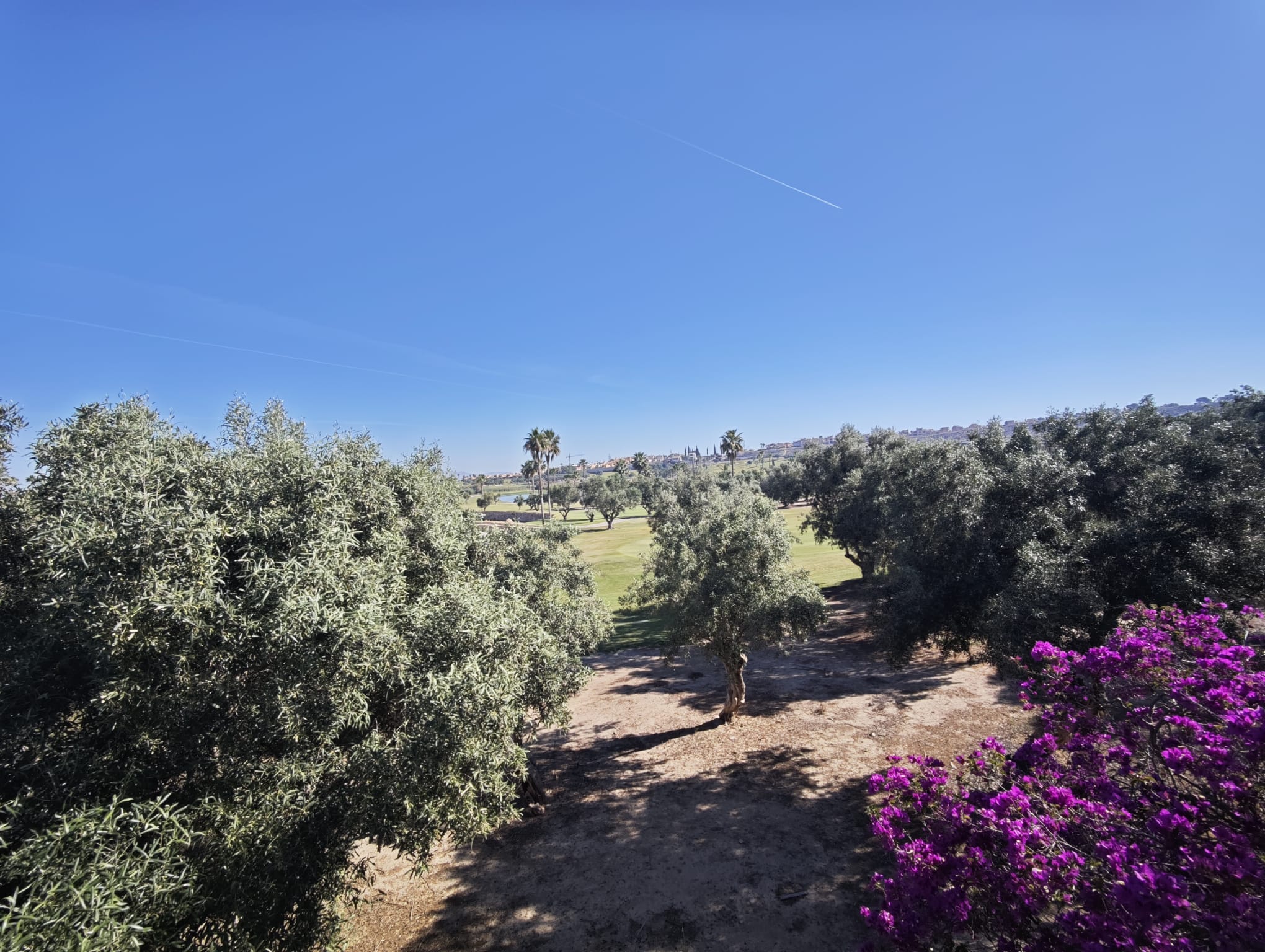 For sale - 4 Bedroom 3 Bathroom Villa in Algorfa - La Finca Golf  - Alicante