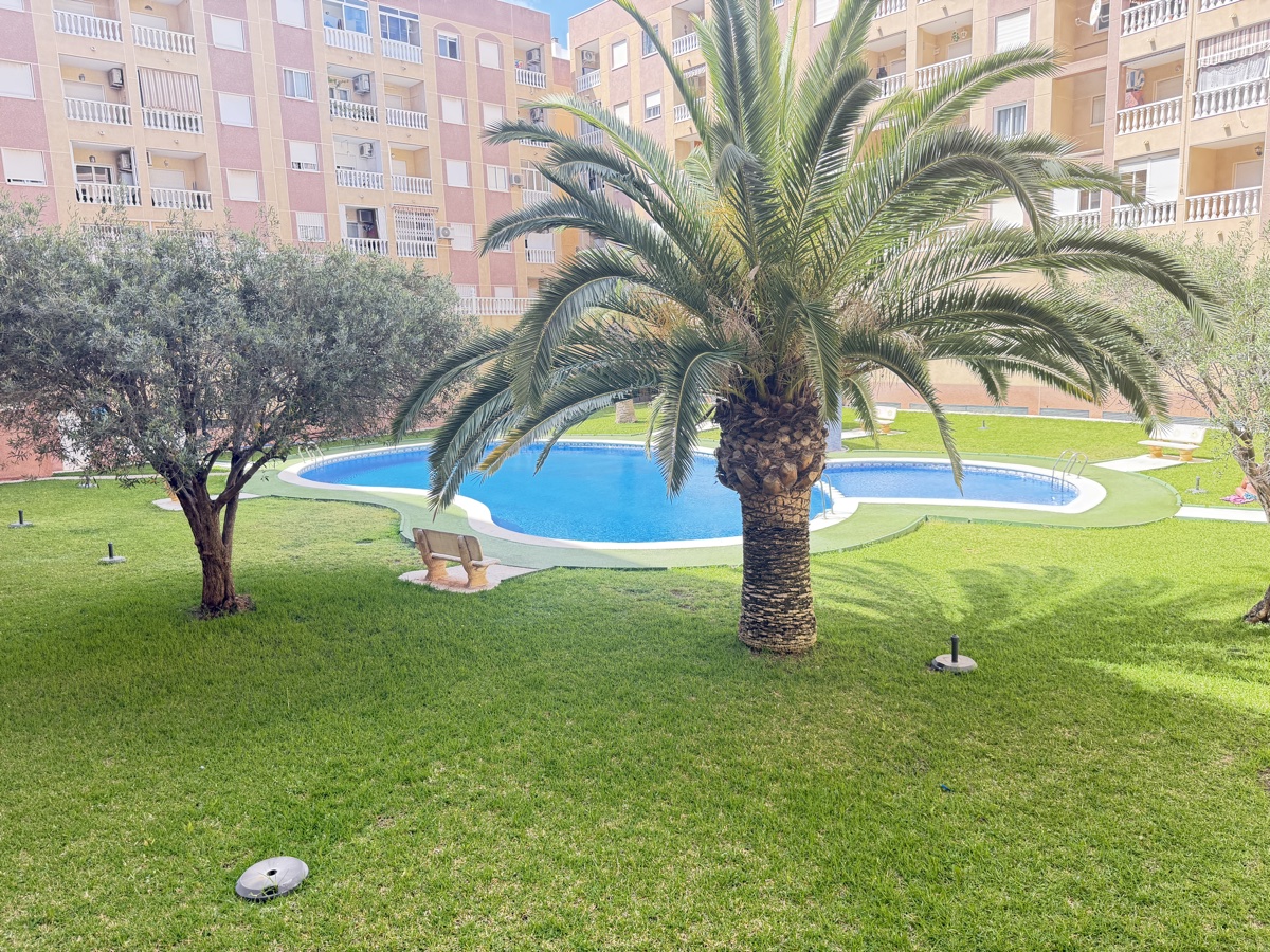 For sale - 2 Bedroom 1 Bathroom Apartment in Torrevieja - , Torrevieja, Alicante, Spain - Alicante