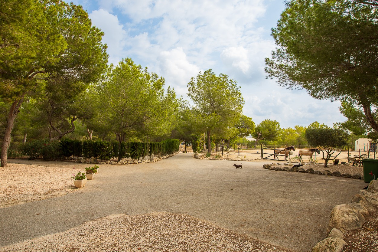 For sale - 4 Bedroom 2 Bathroom Country Property/Finca in Torremendo - Torremendo  - Alicante
